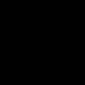 Meet your Posher, Fred